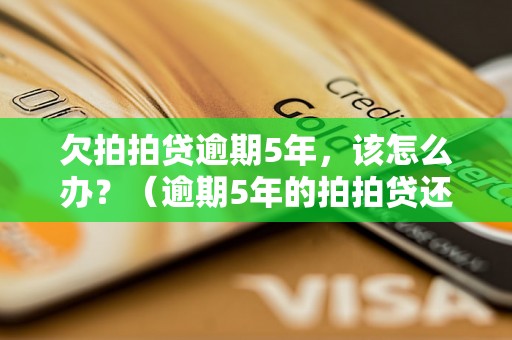 欠拍拍贷逾期5年，该怎么办？（逾期5年的拍拍贷还款解决方案）