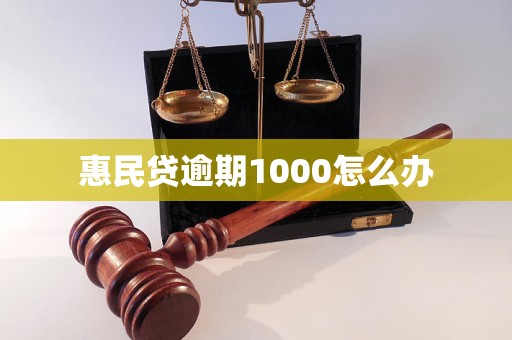 惠民贷逾期1000怎么办