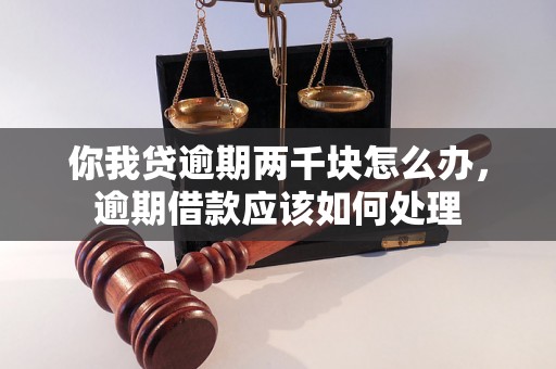 你我贷逾期两千块怎么办，逾期借款应该如何处理