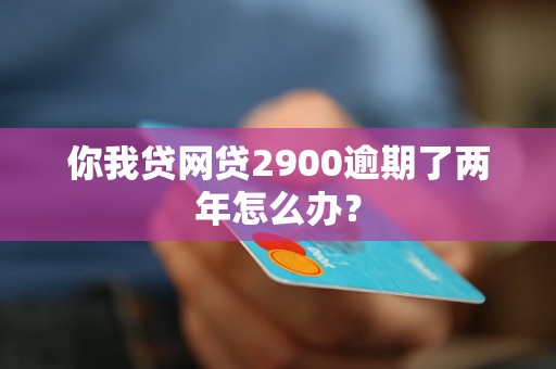 你我贷网贷2900逾期了两年怎么办？