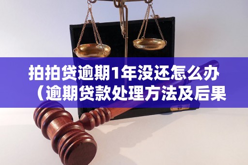 拍拍贷逾期1年没还怎么办（逾期贷款处理方法及后果解析）