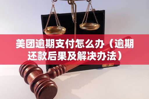 美团逾期支付怎么办（逾期还款后果及解决办法）