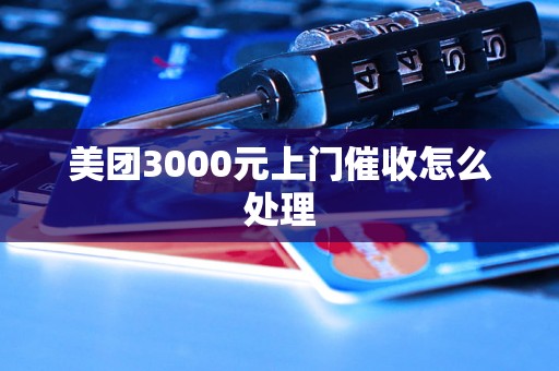 美团3000元上门催收怎么处理