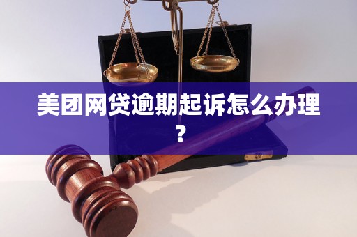 美团网贷逾期起诉怎么办理？