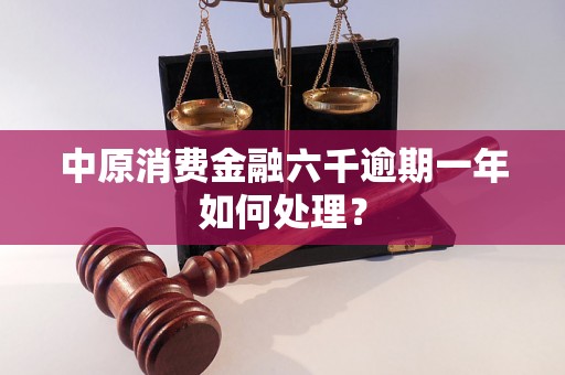 中原消费金融六千逾期一年如何处理？