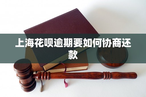 上海花呗逾期要如何协商还款