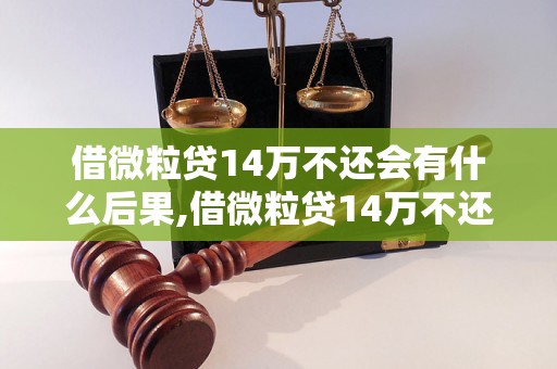 借微粒贷14万不还会有什么后果,借微粒贷14万不还的风险有哪些