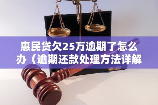 惠民贷欠25万逾期了怎么办（逾期还款处理方法详解）