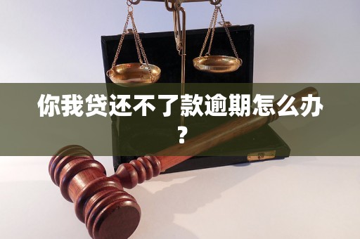 你我贷还不了款逾期怎么办？