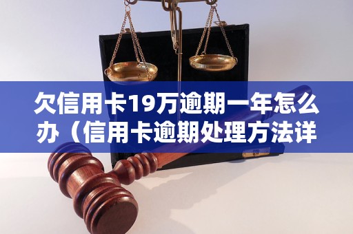 欠信用卡19万逾期一年怎么办（信用卡逾期处理方法详解）