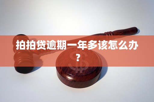 拍拍贷逾期一年多该怎么办？