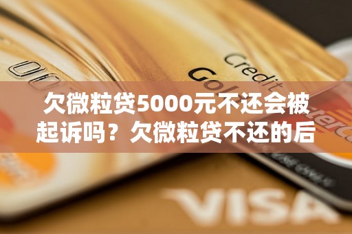 欠微粒贷5000元不还会被起诉吗？欠微粒贷不还的后果有哪些？