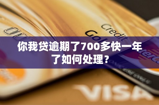 你我贷逾期了700多快一年了如何处理？