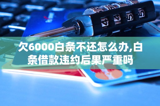 欠6000白条不还怎么办,白条借款违约后果严重吗