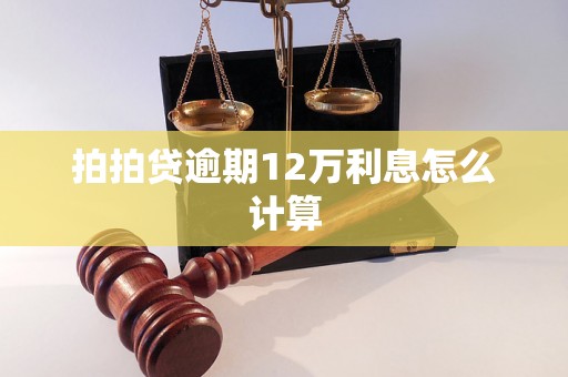 拍拍贷逾期12万利息怎么计算