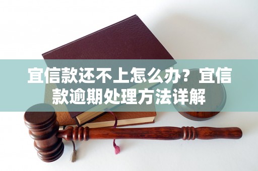 宜信款还不上怎么办？宜信款逾期处理方法详解