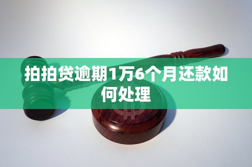 拍拍贷逾期1万6个月还款如何处理