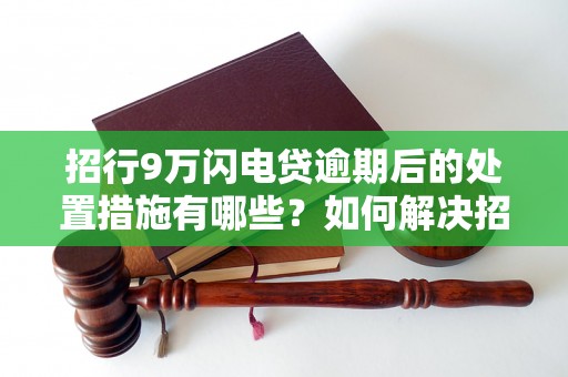 招行9万闪电贷逾期后的处置措施有哪些？如何解决招行9万闪电贷还不上的问题？