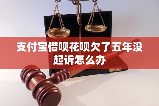 支付宝借呗花呗欠了五年没起诉怎么办