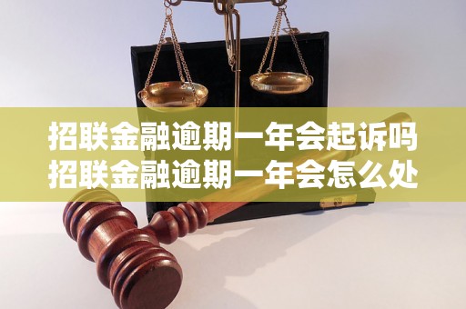 招联金融逾期一年会起诉吗招联金融逾期一年会怎么处理