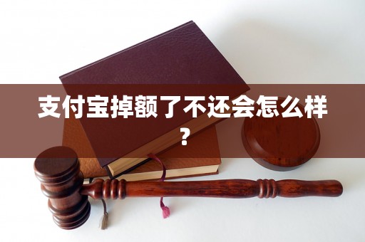 支付宝掉额了不还会怎么样？