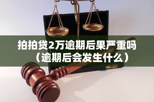 拍拍贷2万逾期后果严重吗（逾期后会发生什么）