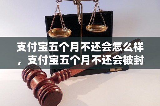 支付宝五个月不还会怎么样，支付宝五个月不还会被封号吗