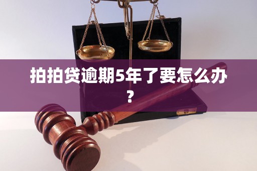 拍拍贷逾期5年了要怎么办？