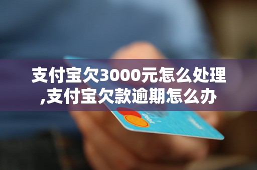 支付宝欠3000元怎么处理,支付宝欠款逾期怎么办