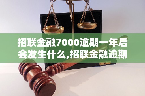 招联金融7000逾期一年后会发生什么,招联金融逾期一年的后果及处理方式