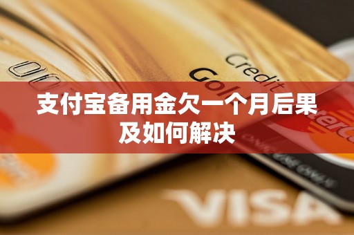 支付宝备用金欠一个月后果及如何解决