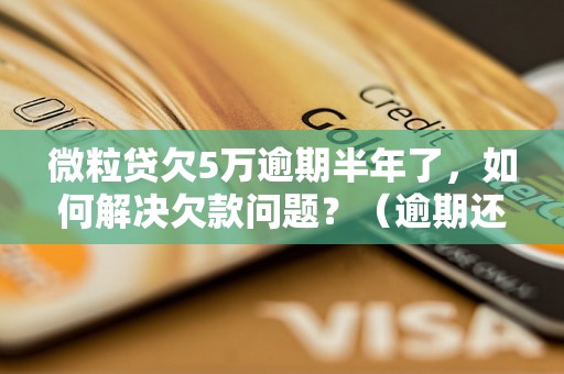 微粒贷欠5万逾期半年了，如何解决欠款问题？（逾期还款对个人信用的影响）