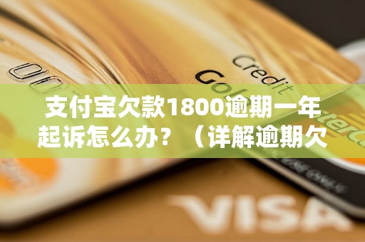 支付宝欠款1800逾期一年起诉怎么办？（详解逾期欠款起诉流程）