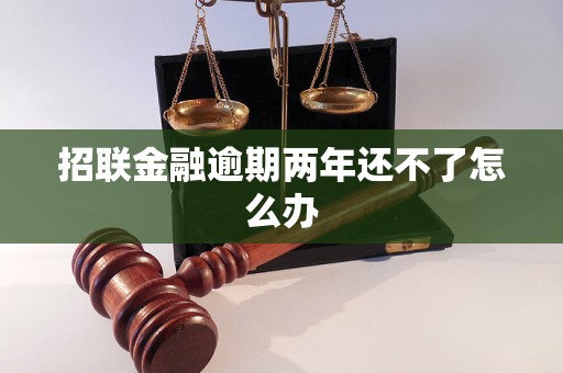 招联金融逾期两年还不了怎么办