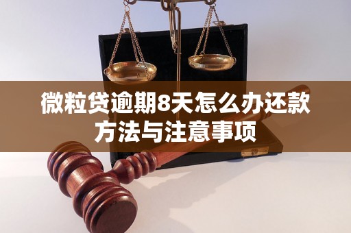 微粒贷逾期8天怎么办还款方法与注意事项