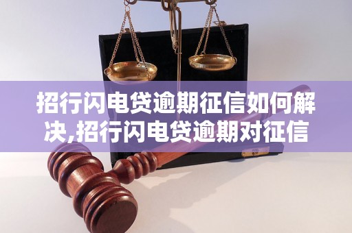 招行闪电贷逾期征信如何解决,招行闪电贷逾期对征信有何影响