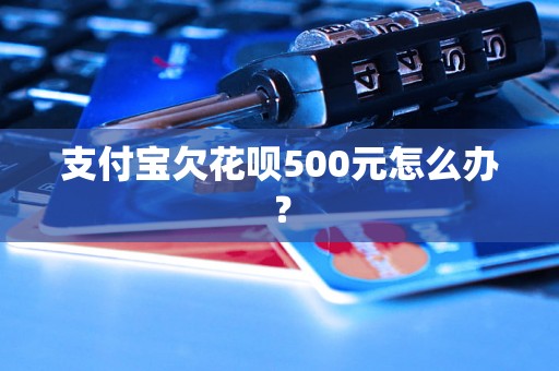 支付宝欠花呗500元怎么办？