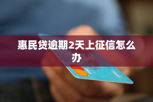 惠民贷逾期2天上征信怎么办