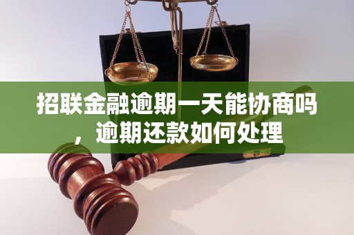 招联金融逾期一天能协商吗，逾期还款如何处理