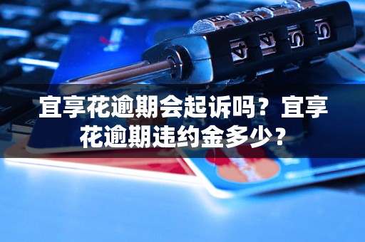 宜享花逾期会起诉吗？宜享花逾期违约金多少？