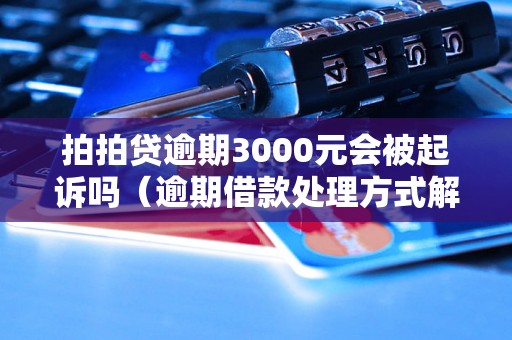 拍拍贷逾期3000元会被起诉吗（逾期借款处理方式解析）