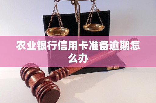 农业银行信用卡准备逾期怎么办