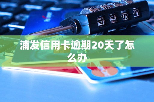 浦发信用卡逾期20天了怎么办