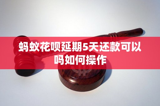 蚂蚁花呗延期5天还款可以吗如何操作