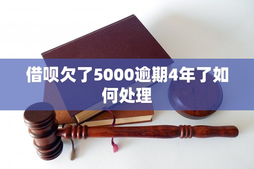 借呗欠了5000逾期4年了如何处理