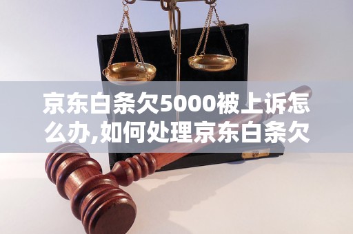 京东白条欠5000被上诉怎么办,如何处理京东白条欠款被上诉的情况