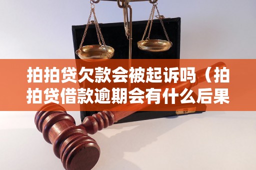 拍拍贷欠款会被起诉吗（拍拍贷借款逾期会有什么后果）