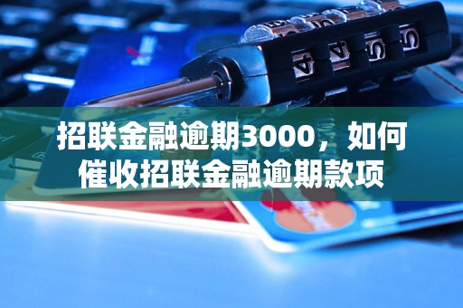 招联金融逾期3000，如何催收招联金融逾期款项