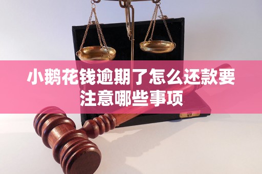 小鹅花钱逾期了怎么还款要注意哪些事项