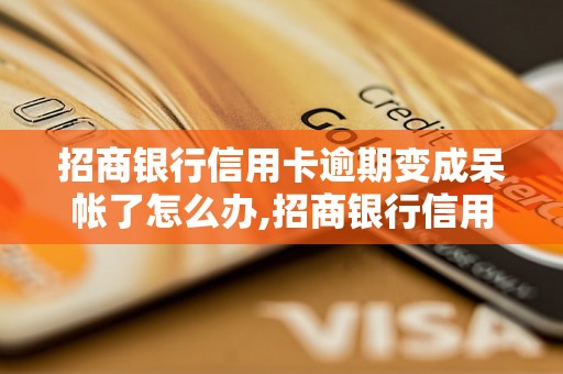 招商银行信用卡逾期变成呆帐了怎么办,招商银行信用卡逾期呆帐处理流程